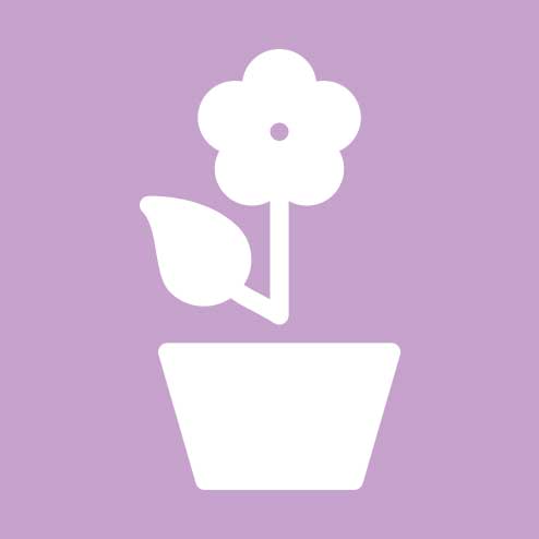 Envio de flores por suscripcion floristerías florilandia