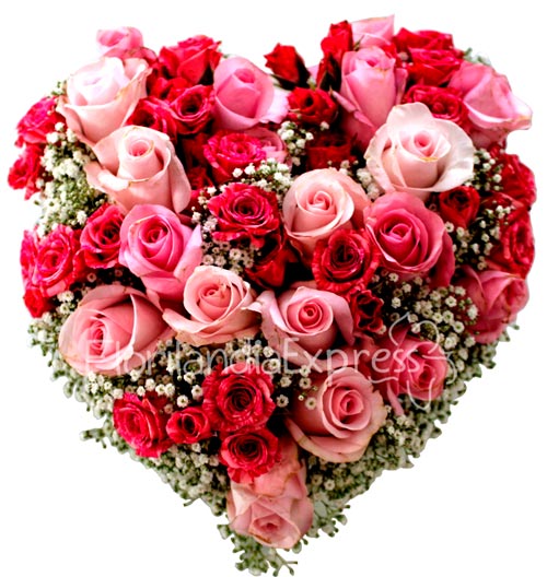 Corazón de rosas para enamorar - Florilandia Express